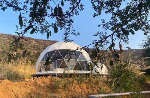 Achrol Otro | Teela- The Glamping Resort, Jaipur