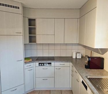 Tegerfelden Apartamento | Tegerfelden Weinregion