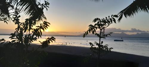 Punaauia Casa | Tehei Beach House Wifi AC Beachfront Sunset
