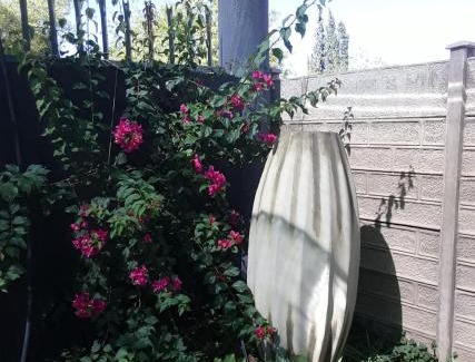 Upington Casa | Tehillah Guesthouse