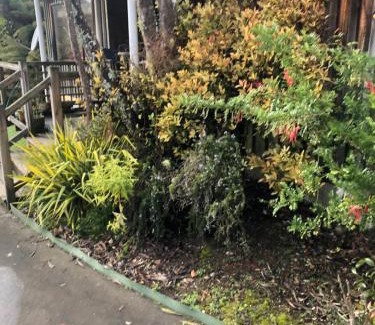 Raurimu Chalet De Esquí | Tekoa Lodge Raurimu