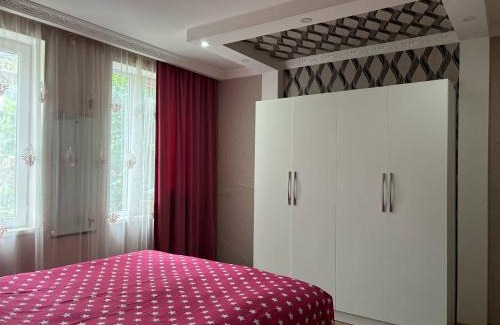 Mirzaani Casa | television