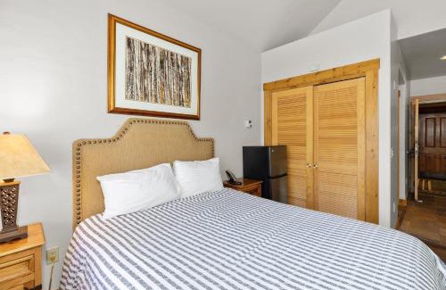 Mountain Village Casa | Telluride Mountain Lodge Skiin Out amazing location