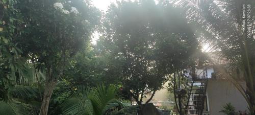 Kovalam Casa | Temple House