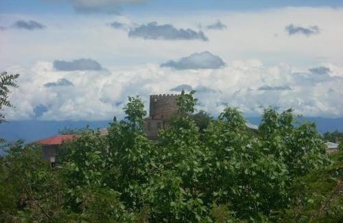 Sighnaghi Casa | Temuka