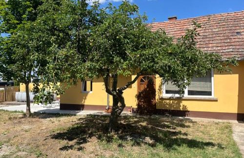 Rede Apartamento | Tengelice-ház