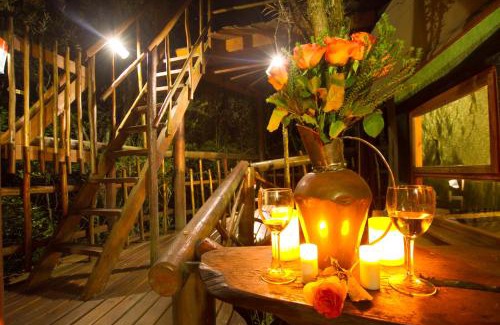 Knysna Otro | Teniqua Treetops