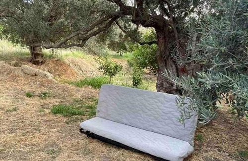 Ligia Otro | Tent by the sea, private toilet and kitchenette