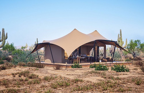 Marana Casa | Tent Ocotillos