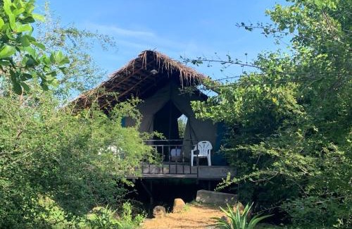 Tissamaharama Otro | Tented Safari Camp by Base Camp Yala