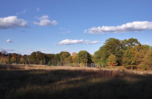 Hollis Center Otro | Tentrr Signature Site - Deerwander Camp B