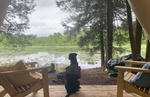 Guys Mills Alquiler De RV | Tentrr Signature Site - Beavers Landing