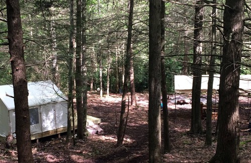 Jim Thorpe Alquiler De RV | Tentrr - Retreat on Bear Creek