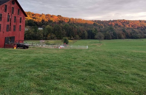 Taylorstown Alquiler De RV | Tentrr Signature Site - Regenerative Farm near Pittsburgh