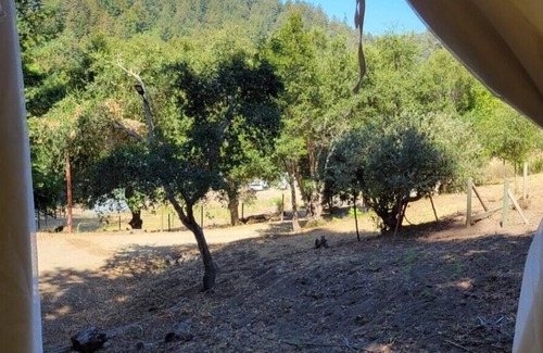 Soquel Alquiler De RV | Tentrr Signature Site - Avocado Grove C