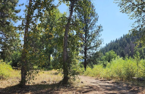 Clinton Alquiler De RV | Tentrr Signature Site - B4mc River Ranch - The Cottonwoods
