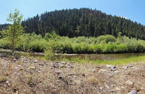 Clinton Alquiler De RV | Tentrr Signature Site - B4mc River Ranch - The Cottonwoods