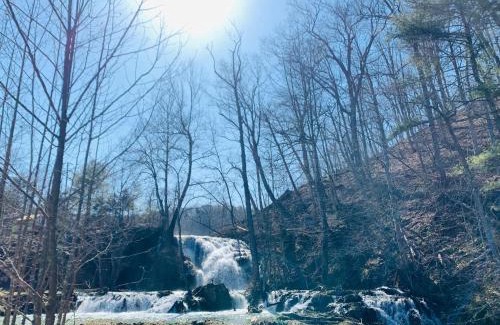 Glace Otro | Tentrr Signature Site - Beaverdam Falls - Top of the Rock - Coleman Outfitted Site