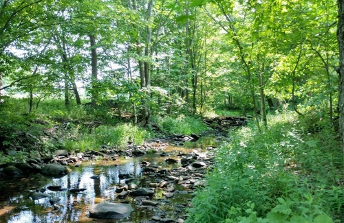 Town of Conesville Alquiler De RV | Tentrr - Camping Bearkill Brook