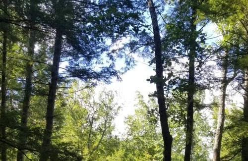 Alton Alquiler De RV | Tentrr Signature Site - Camp Alton
