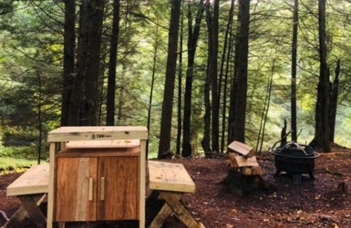 Kauneonga Lake Otro | Tentrr Signature Site - Come As You Are at the Tentrr Catskill Retreat - Single Camp