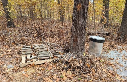 Maysville Alquiler De RV | Tentrr Signature Site - Leaning Tree Woods