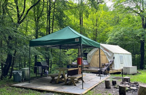 Fishs Eddy Alquiler De RV | Tentrr Signature Site - Paradise Falls - Coleman Outfitted Site