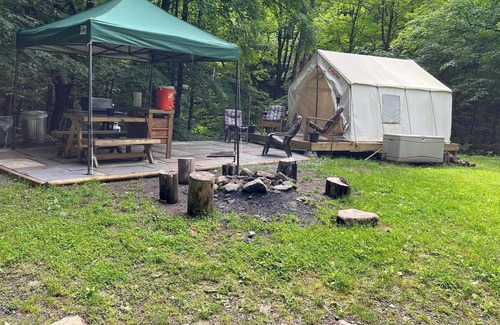 Fishs Eddy Alquiler De RV | Tentrr Signature Site - Paradise Falls - Coleman Outfitted Site