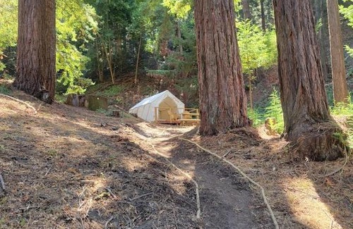 Soquel Otro | Tentrr Signature Site - Redwood Grove Site B