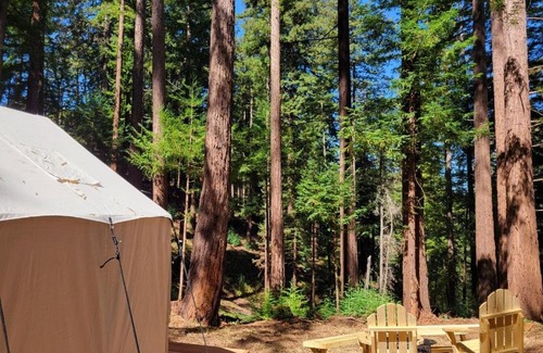 Soquel Otro | Tentrr Signature Site - Redwood Grove Site B