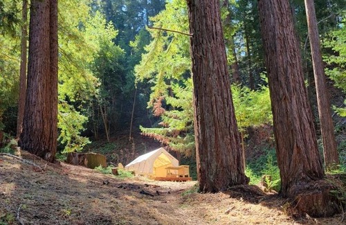 Soquel Otro | Tentrr Signature Site - Redwood Grove Site B