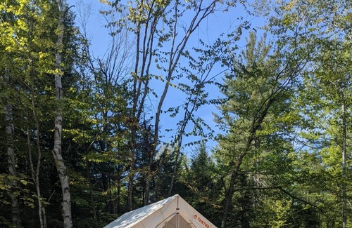 Chatham Alquiler De RV | Tentrr Signature Site - Sunnyside @butterhillhdeaway