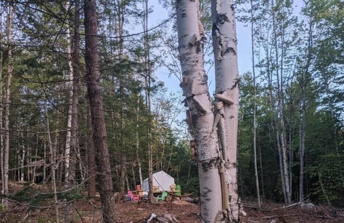 Chatham Alquiler De RV | Tentrr Signature Site - Sunnyside @butterhillhdeaway