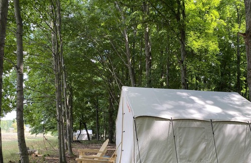 Honor Alquiler De RV | Tentrr Signature Site - Sleeping Bear Dunes - Bobcat's Cave