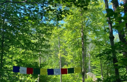 Gray Alquiler De RV | Tentrr Signature Site - Two Eagles Campsite