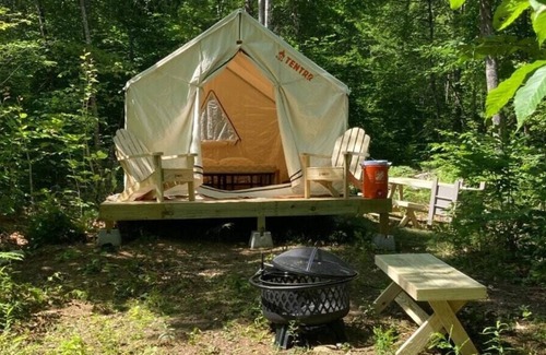 Gray Alquiler De RV | Tentrr Signature Site - Two Eagles Campsite