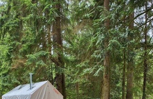 Arlington Alquiler De RV | Tentrr Signature Site - Fern Gully Site 1