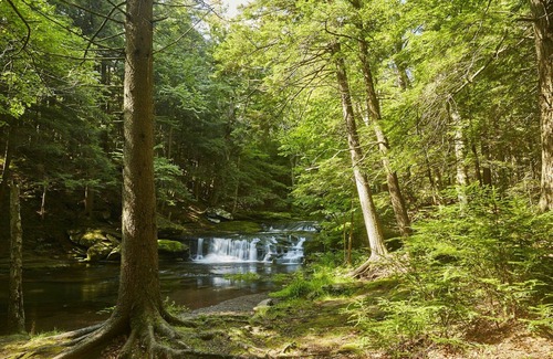 Elka Park Alquiler De RV | Tentrr - High Peak Meadows
