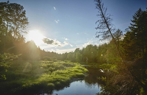 Elka Park Alquiler De RV | Tentrr Signature Site - Sugarloaf Mountain Meadows Camp on Schoharie Creek NY
