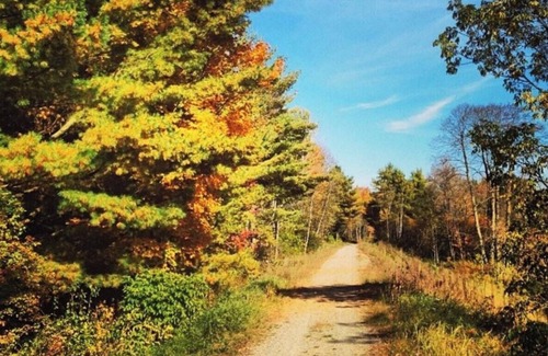 Enosburg Falls Alquiler De RV | Tentrr - Missisquoi Magic