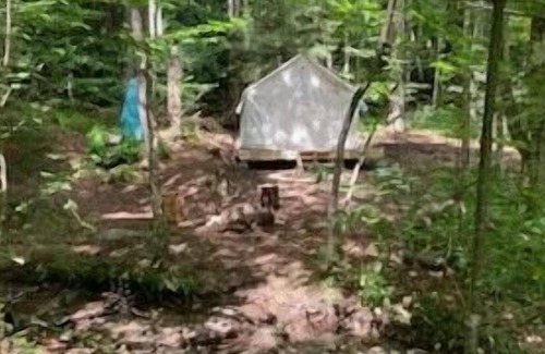Fletcher Alquiler De RV | Tentrr Signature Site - Kindred Brookside Camp
