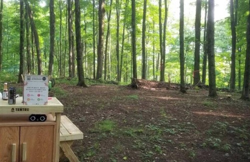 Hartwick Alquiler De RV | Tentrr Signature Site - Briar Hill Respite