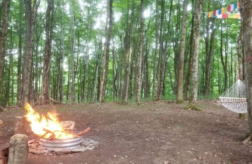 Hartwick Alquiler De RV | Tentrr Signature Site - Briar Hill Respite