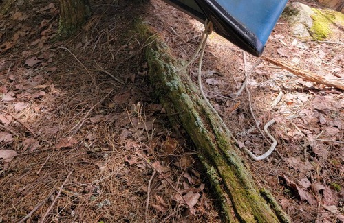 Galilee Alquiler De RV | Tentrr Signature Site - Wild Fox Cabins Tentrr Adventure