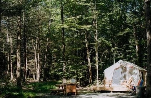 Pine Bush Alquiler De RV | Tentrr - Camping E y L Farms