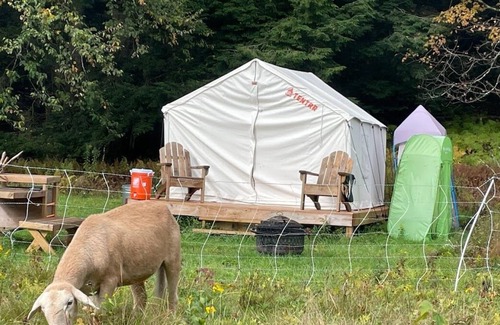Randolph Alquiler De RV | Tentrr Signature Site - Howling Wolf Farmstay