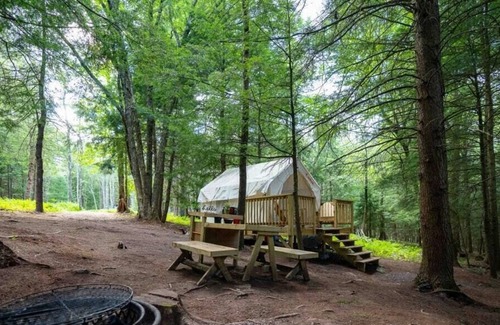 Kauneonga Lake Alquiler De RV | Tentrr Signature Site - Come As You Are at the Tentrr Catskill Retreat - Stream