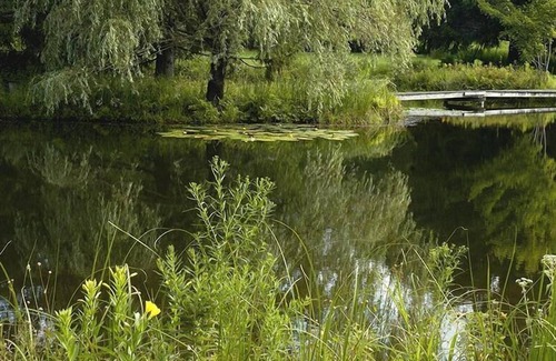 Bovina Center Alquiler De RV | Tentrr Signature Site - Wolf Camp