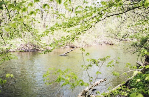 Earlville Alquiler De RV | Tentrr - Escapada Creekside Woods