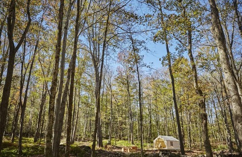 Mongaup Valley Alquiler De RV | Tentrr Signature Site - Swinging Bridge Sanctuary
